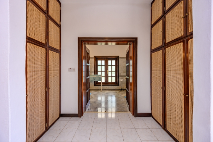 Image1